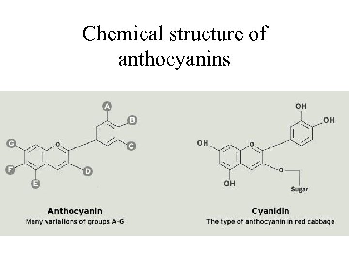 Chemical structure of anthocyanins 