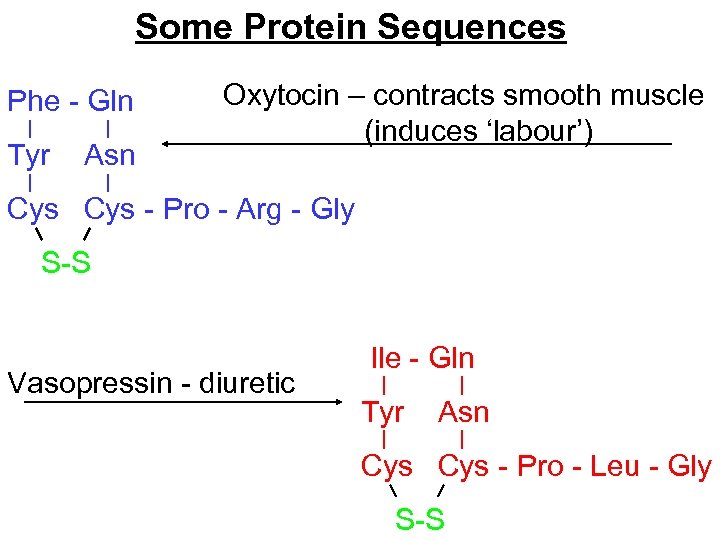 Some Protein Sequences Phe - Gln Tyr Asn Oxytocin – contracts smooth muscle (induces