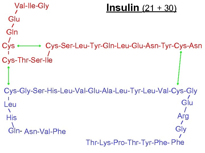  Val-Ile-Gly Insulin (21 + 30) Glu Gln Cys Cys-Ser-Leu-Tyr-Gln-Leu-Glu-Asn-Tyr-Cys-Asn Cys-Thr-Ser-Ile Cys-Gly-Ser-His-Leu-Val-Glu-Ala-Leu-Tyr-Leu-Val-Cys-Gly Leu Glu