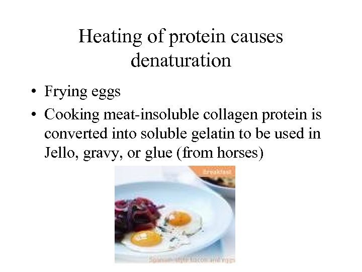 Heating of protein causes denaturation • Frying eggs • Cooking meat-insoluble collagen protein is