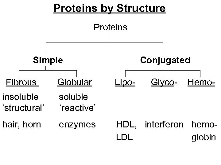 Proteins by Structure Proteins Simple Conjugated Fibrous Globular Lipo- Glyco- Hemoinsoluble ‘structural’ ‘reactive’ hair,