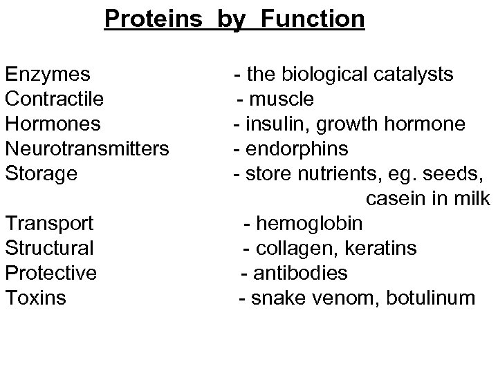 Proteins by Function Enzymes - the biological catalysts Contractile - muscle Hormones - insulin,