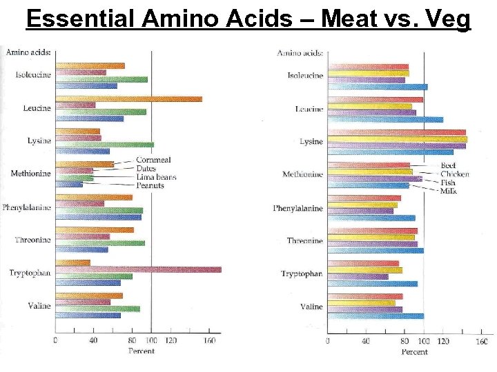 Essential Amino Acids – Meat vs. Veg 