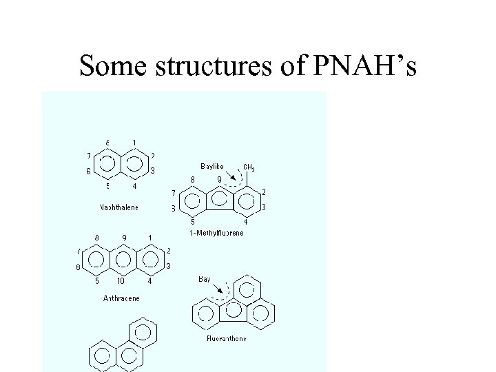 Some structures of PNAH’s 