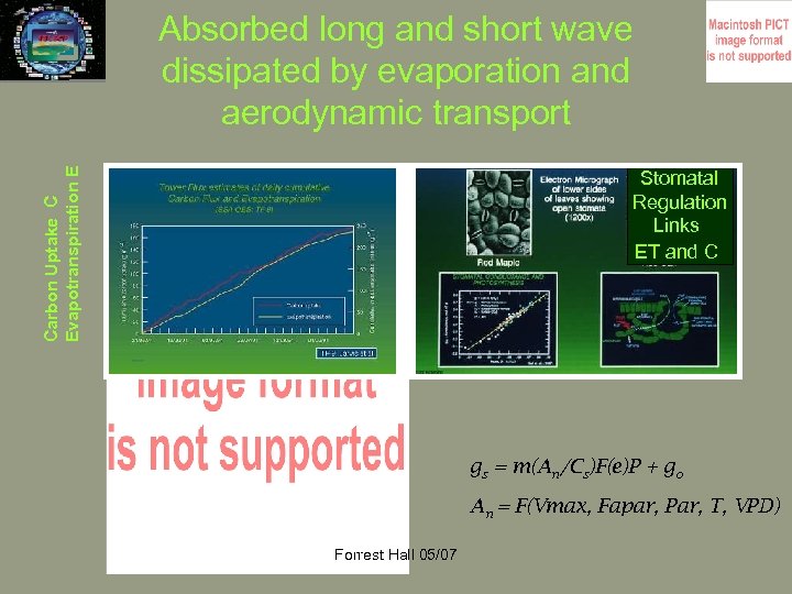 Carbon Uptake C Evapotranspiration E Absorbed long and short wave dissipated by evaporation and