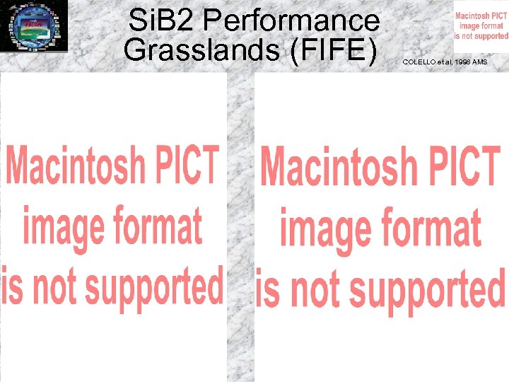 Si. B 2 Performance Grasslands (FIFE) COLELLO et al, 1998 AMS 