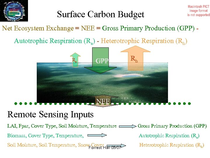 Surface Carbon Budget Net Ecosystem Exchange = NEE = Gross Primary Production (GPP) Autotrophic