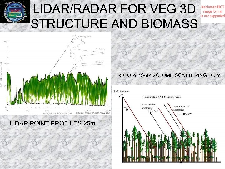 LIDAR/RADAR FOR VEG 3 D STRUCTURE AND BIOMASS RADAR/In. SAR VOLUME SCATTERING 100 m