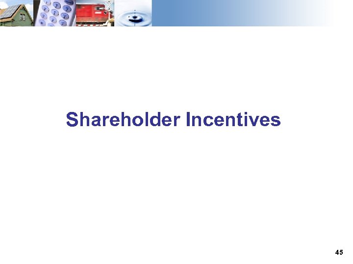 Shareholder Incentives 45 