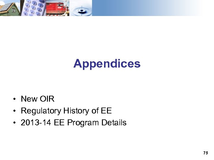 Appendices • New OIR • Regulatory History of EE • 2013 -14 EE Program