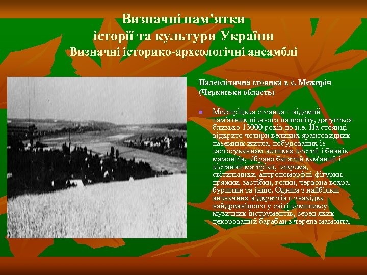 Визначні пам’ятки історії та культури України Визначні історико-археологічні ансамблі Палеолітична стоянка в с. Межиріч