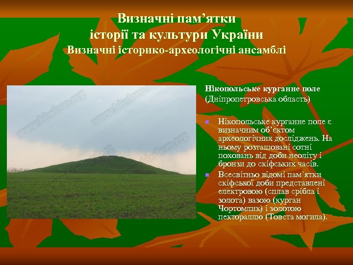 Визначні пам’ятки історії та культури України Визначні історико-археологічні ансамблі Нікопольське курганне поле (Дніпропетровська область)