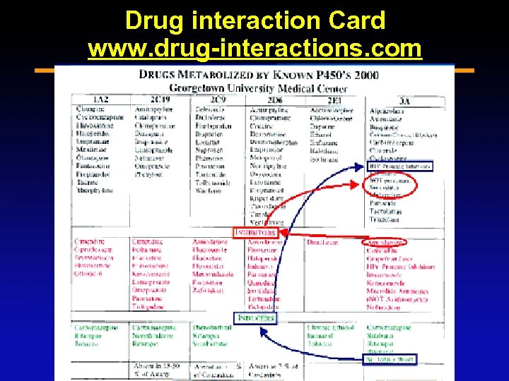 Drug interaction Card www. drug-interactions. com 