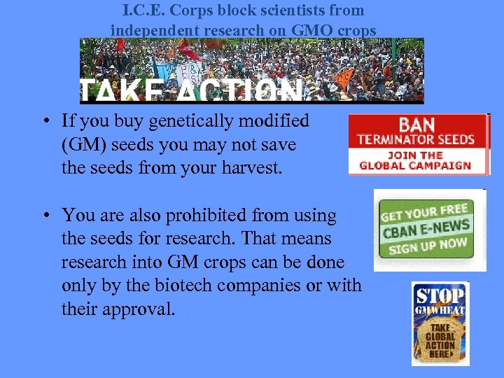 I. C. E. Corps block scientists from independent research on GMO crops • If