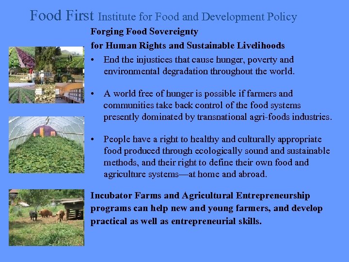 Food First Institute for Food and Development Policy Forging Food Sovereignty for Human Rights