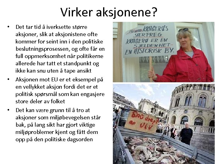 Virker aksjonene? • Det tar tid å iverksette større aksjoner, slik at aksjonistene ofte