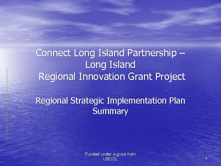 Connect Long Island Partnership – Long Island Regional Innovation Grant Project Regional Strategic Implementation