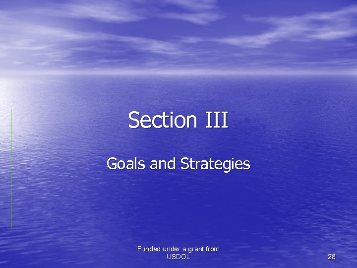 Section III Goals and Strategies Funded under a grant from USDOL 28 