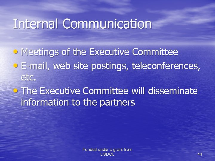 Internal Communication • Meetings of the Executive Committee • E-mail, web site postings, teleconferences,