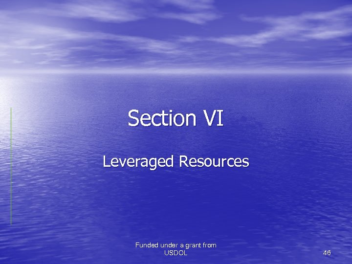 Section VI Leveraged Resources Funded under a grant from USDOL 46 