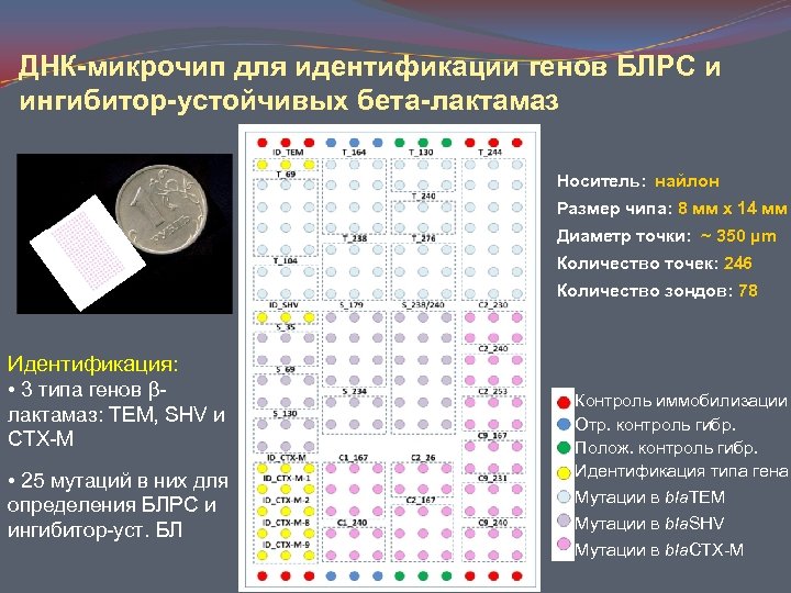 Днк микрочипы презентация