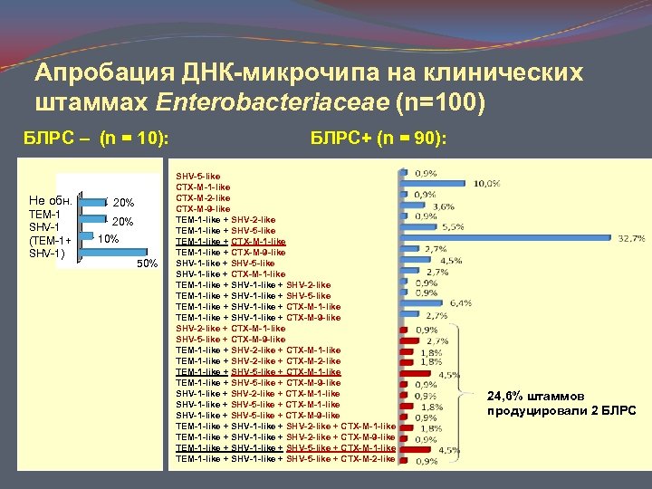 Апробация ДНК-микрочипа на клинических штаммах Enterobacteriaceae (n=100) БЛРC – (n = 10): Не обн.