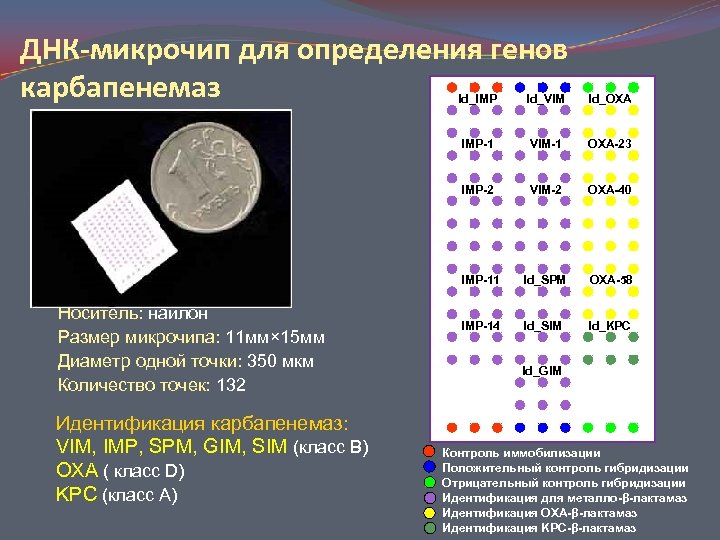 Днк микрочипы презентация