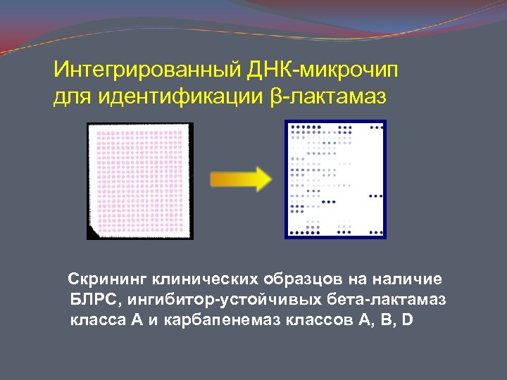 Днк микрочипы презентация