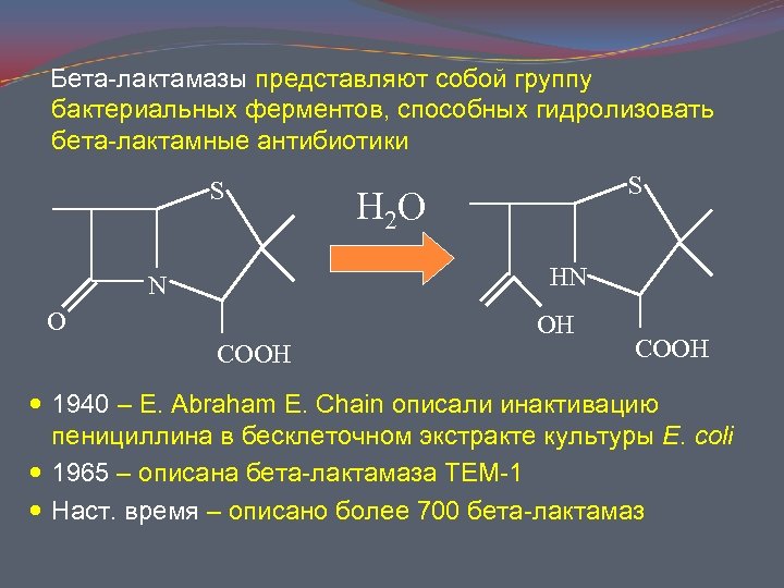 Бета-лактамазы представляют собой группу бактериальных ферментов, способных гидролизовать бета-лактамные антибиотики S S H 2