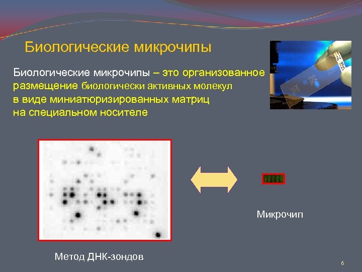 Биологические микрочипы – это организованное размещение биологически активных молекул в виде миниатюризированных матриц на