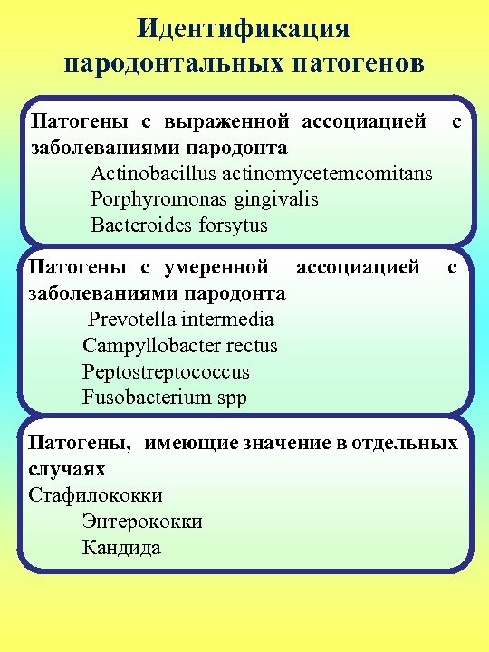 Идентификация пародонтальных патогенов Патогены с выраженной ассоциацией с заболеваниями пародонта Actinobacillus actinomycetemcomitans Porphyromonas gingivalis