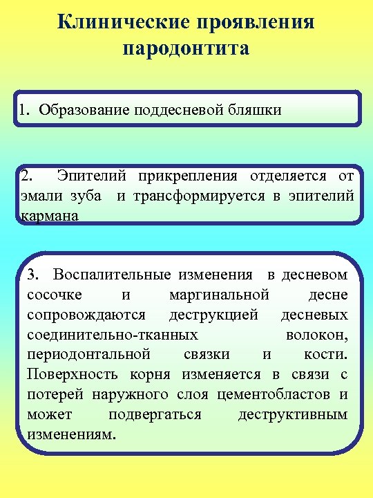 Клинические проявления пародонтита 1. Образование поддесневой бляшки 2. Эпителий прикрепления отделяется от эмали зуба