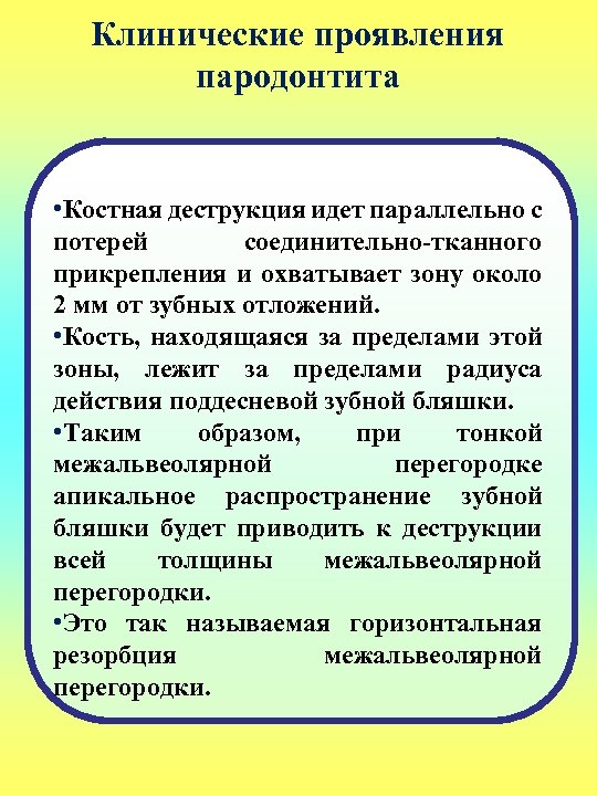 Клинические проявления пародонтита • Костная деструкция идет параллельно с потерей соединительно-тканного прикрепления и охватывает