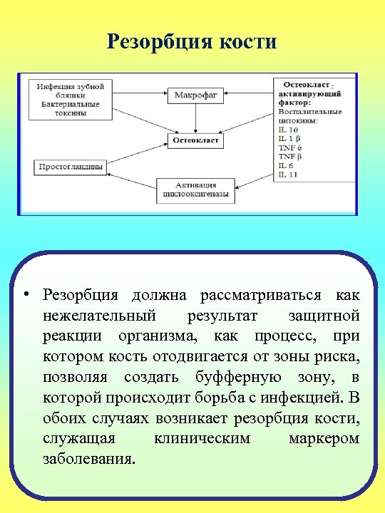 Резорбция кости • Резорбция должна рассматриваться как нежелательный результат защитной реакции организма, как процесс,