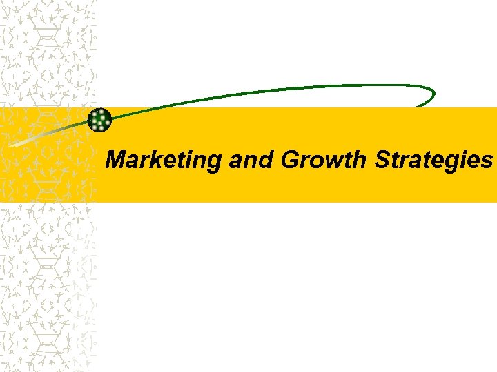 Marketing and Growth Strategies 