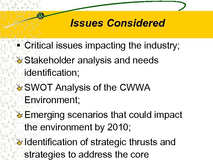 Issues Considered § Critical issues impacting the industry; Stakeholder analysis and needs identification; SWOT