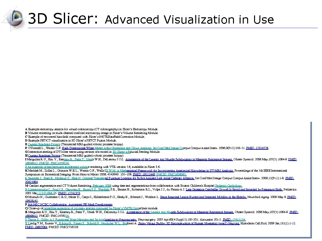 3 D Slicer: Advanced Visualization in Use A Example endoscopy session for virtual colonoscopy