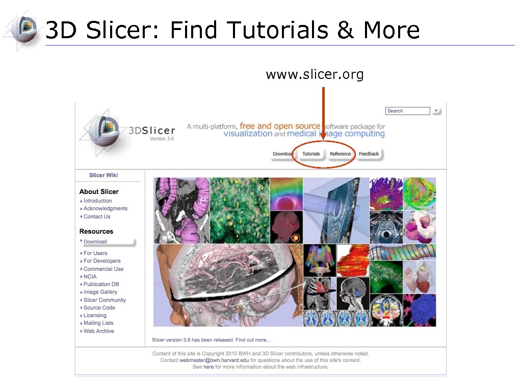 3 D Slicer: Find Tutorials & More www. slicer. org 