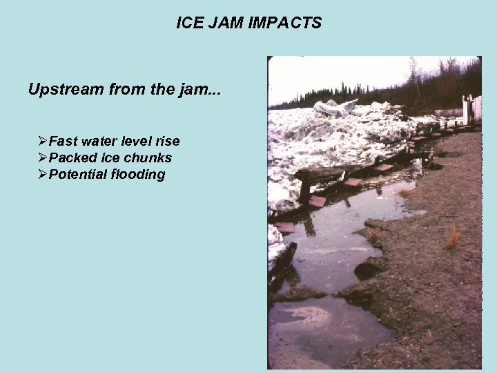 ICE JAM IMPACTS Upstream from the jam. . . ØFast water level rise ØPacked
