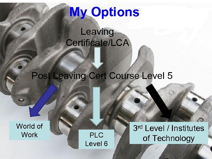 My Options Leaving Certificate/LCA Post Leaving Cert Course Level 5 World of Work PLC