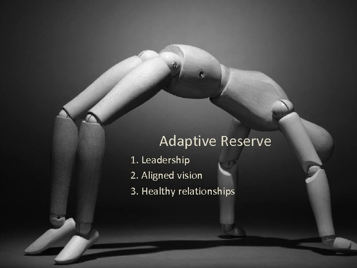 Adaptive Reserve 1. Leadership 2. Aligned vision 3. Healthy relationships 