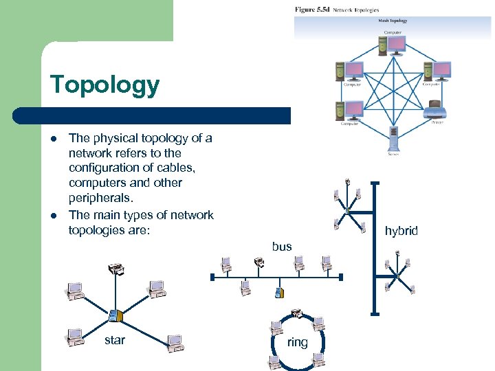 Topology l l The physical topology of a network refers to the configuration of