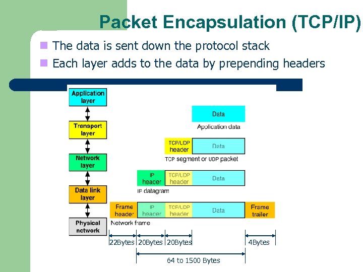 Packet Encapsulation (TCP/IP) n The data is sent down the protocol stack n Each