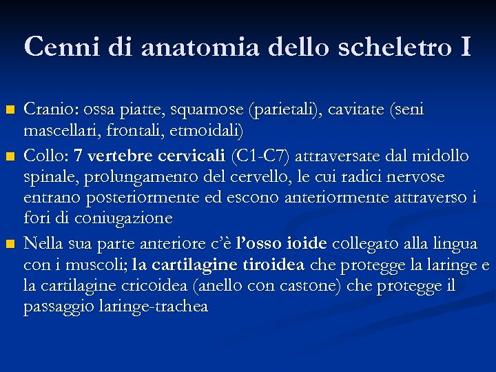 Cenni di anatomia dello scheletro I n n n Cranio: ossa piatte, squamose (parietali),