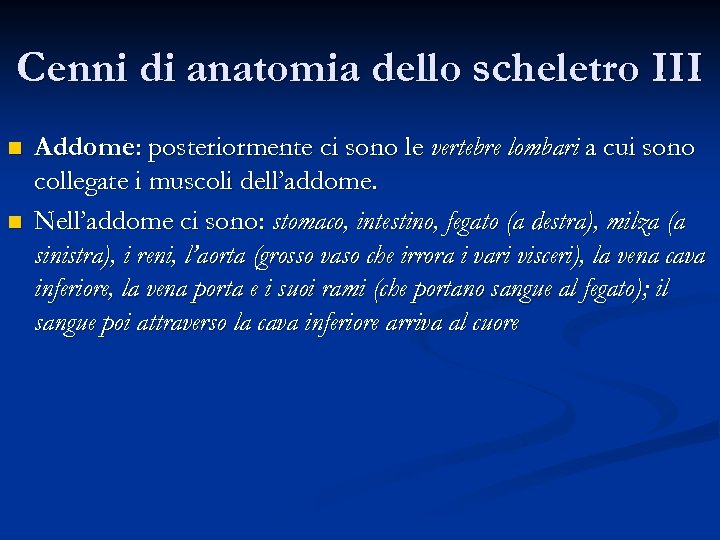 Cenni di anatomia dello scheletro III n n Addome: posteriormente ci sono le vertebre