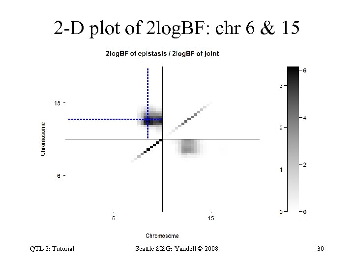 2 -D plot of 2 log. BF: chr 6 & 15 QTL 2: Tutorial