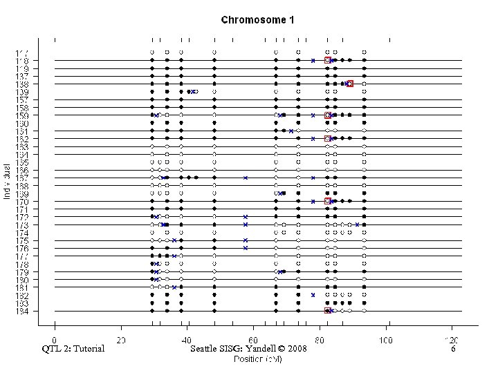 QTL 2: Tutorial Seattle SISG: Yandell © 2008 6 