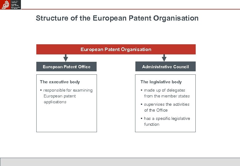 Structure of the European Patent Organisation European Patent Office Administrative Council The executive body