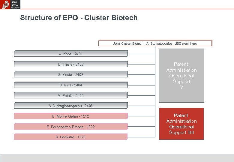 Structure of EPO - Cluster Biotech Joint Cluster Biotech - A. Stamatopoulos - 260