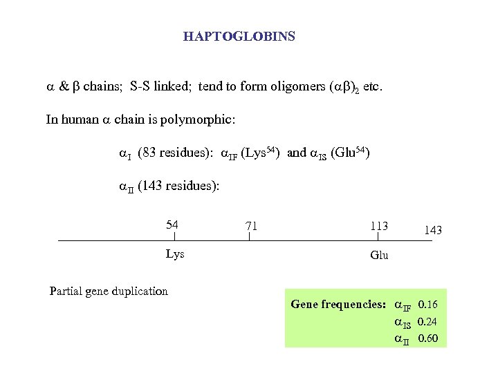 HAPTOGLOBINS & chains; S-S linked; tend to form oligomers ( )2 etc. In human